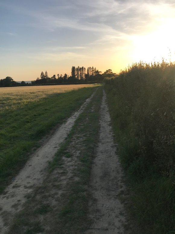 Photo of the footpath from North Lane through to Chiddinglye 